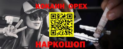 спиды Новозыбков