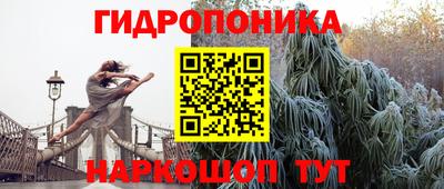 МДПВ Новодвинск