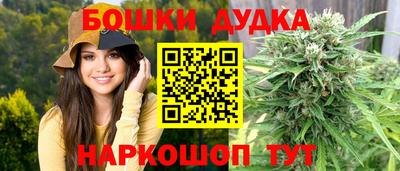 спиды Новозыбков