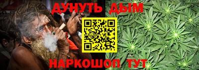 МДПВ Новодвинск